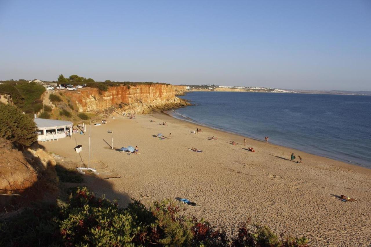 Villa Cruz Del Sur - Solo Familias Conil De La Frontera Εξωτερικό φωτογραφία